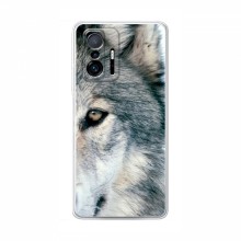 Чехлы с картинками животных Xiaomi 11T Волк - купить на Floy.com.ua