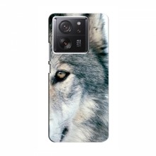 Чехлы с картинками животных Xiaomi 13T Волк - купить на Floy.com.ua