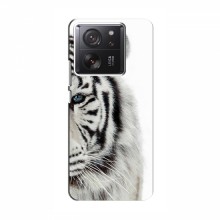 Чехлы с картинками животных Xiaomi 13T Белый Тигр - купить на Floy.com.ua