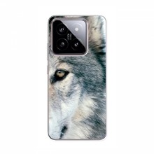 Чехлы с картинками животных Xiaomi 14 Волк - купить на Floy.com.ua
