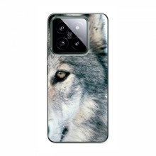 Чехлы с картинками животных Xiaomi 14 Pro Волк - купить на Floy.com.ua