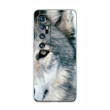 Чехлы с картинками животных Xiaomi Mi 10 Ultra Волк - купить на Floy.com.ua