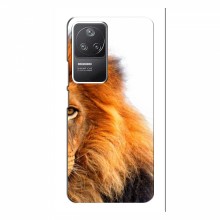 Чехлы с картинками животных Xiaomi POCO F4 (5G) Лев грива - купить на Floy.com.ua
