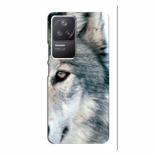 Чехлы с картинками животных Xiaomi POCO F4 (5G) Волк - купить на Floy.com.ua