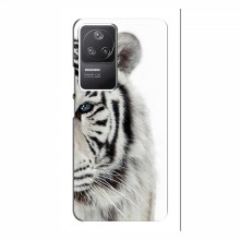 Чехлы с картинками животных Xiaomi POCO F4 (5G) Белый Тигр - купить на Floy.com.ua