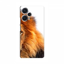 Чехлы с картинками животных Xiaomi POCO F5 Лев грива - купить на Floy.com.ua