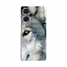 Чехлы с картинками животных Xiaomi POCO F5 Волк - купить на Floy.com.ua