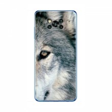 Чехлы с картинками животных Xiaomi POCO X3 Волк - купить на Floy.com.ua