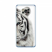 Чехлы с картинками животных Xiaomi POCO X3 Белый Тигр - купить на Floy.com.ua