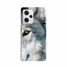 Чехлы с картинками животных Xiaomi POCO X5 GT Волк - купить на Floy.com.ua