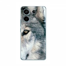 Чехлы с картинками животных Xiaomi Redmi Note 13 (4G) Волк - купить на Floy.com.ua