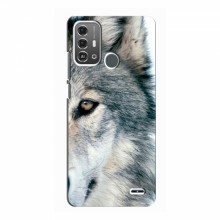 Чехлы с картинками животных ZTE Blade A53 Pro Волк - купить на Floy.com.ua