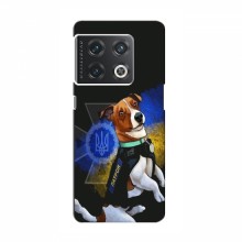 Чехлы с картинкой собаки Патрон для ВанПлас 10 Про (AlphaPrint)