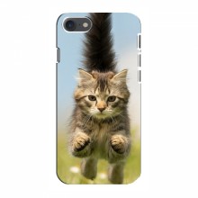 Чехлы с Котиками для Айфон 8 (VPrint) Прыжок кота - купить на Floy.com.ua