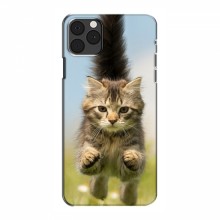 Чехлы с Котиками для Айфон 13 мини (VPrint) Прыжок кота - купить на Floy.com.ua