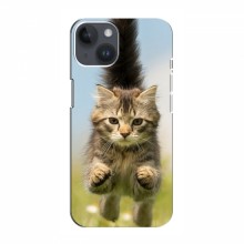 Чехлы с Котиками для Айфон 15 (VPrint) Прыжок кота - купить на Floy.com.ua