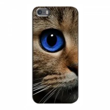 Чехлы с Котиками для iPhone 5 / 5s / SE (VPrint) - купить на Floy.com.ua