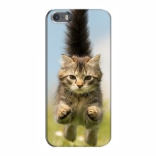 Чехлы с Котиками для iPhone 5 / 5s / SE (VPrint) Прыжок кота - купить на Floy.com.ua