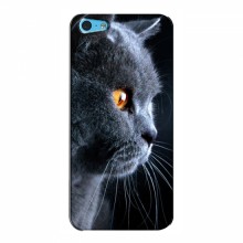 Чехлы с Котиками для Apple 5c (VPrint) Серый Кот - купить на Floy.com.ua
