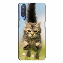 Чехлы с Котиками для Huawei P Smart 2020 (VPrint) Прыжок кота - купить на Floy.com.ua
