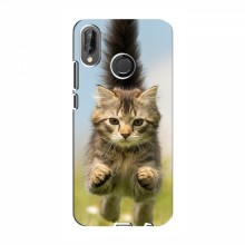 Чехлы с Котиками для (VPrint) Прыжок кота - купить на Floy.com.ua