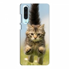 Чехлы с Котиками для Huawei P30 (VPrint) Прыжок кота - купить на Floy.com.ua