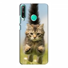 Чехлы с Котиками для Huawei P40 Lite e (VPrint) Прыжок кота - купить на Floy.com.ua