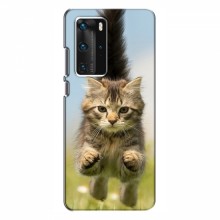 Чехлы с Котиками для Huawei P40 Pro (VPrint) Прыжок кота - купить на Floy.com.ua