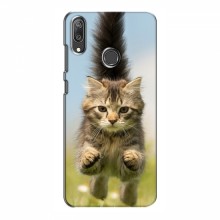 Чехлы с Котиками для Huawei Y7 2019 (VPrint) Прыжок кота - купить на Floy.com.ua