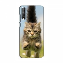 Чехлы с Котиками для Huawei P Smart S / Y8p (2020) (VPrint) Прыжок кота - купить на Floy.com.ua