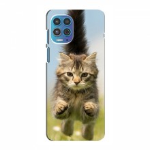 Чехлы с Котиками для Мото G100 (VPrint) Прыжок кота - купить на Floy.com.ua
