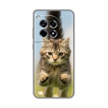 Чехлы с Котиками для ВанПлас Ейс 3 (VPrint) Прыжок кота - купить на Floy.com.ua