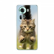 Чехлы с Котиками для Оппо Рено 11 5G (VPrint) Прыжок кота - купить на Floy.com.ua