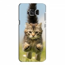 Чехлы с Котиками для Samsung S8, Galaxy S8, G950 (VPrint) Прыжок кота - купить на Floy.com.ua