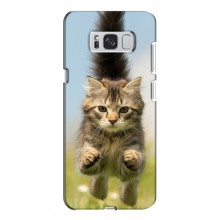 Чехлы с Котиками для Samsung S8 Plus, Galaxy S8+, S8 Плюс G955 (VPrint) Прыжок кота - купить на Floy.com.ua