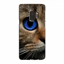 Чехлы с Котиками для Samsung S9 (VPrint) - купить на Floy.com.ua