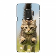 Чехлы с Котиками для Samsung S9 (VPrint) Прыжок кота - купить на Floy.com.ua