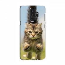 Чехлы с Котиками для Samsung S9 Plus (VPrint)