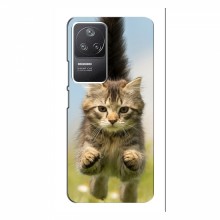 Чехлы с Котиками для Поко Ф4 (5G) (VPrint) Прыжок кота - купить на Floy.com.ua