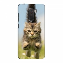 Чехлы с Котиками для Xiaomi Pocophone F1 (VPrint) Прыжок кота - купить на Floy.com.ua