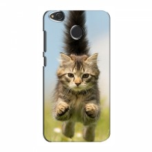 Чехлы с Котиками для Xiaomi Redmi 4X (VPrint) Прыжок кота - купить на Floy.com.ua