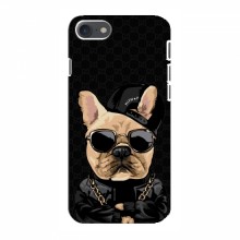 Чехлы с крутыми принтами для iPhone 8 - (PREMIUMPrint) Стильная собака - купить на Floy.com.ua