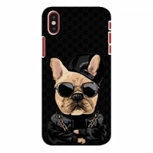 Чехлы с крутыми принтами для iPhone X - (PREMIUMPrint) Стильная собака - купить на Floy.com.ua