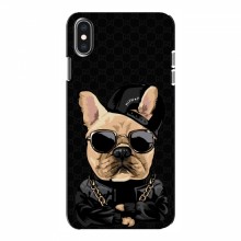 Чехлы с крутыми принтами для iPhone Xs - (PREMIUMPrint) Стильная собака - купить на Floy.com.ua