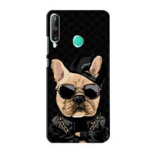 Чехлы с крутыми принтами для Huawei Y7p (2020) - (PREMIUMPrint) Стильная собака - купить на Floy.com.ua