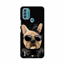 Чехлы с крутыми принтами для Nokia C31 - (PREMIUMPrint) Стильная собака - купить на Floy.com.ua