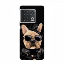 Чехлы с крутыми принтами для OnePlus 10 Pro - (PREMIUMPrint) Стильная собака - купить на Floy.com.ua