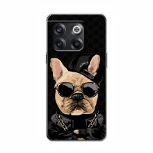 Чехлы с крутыми принтами для OnePlus 10T - (PREMIUMPrint) Стильная собака - купить на Floy.com.ua