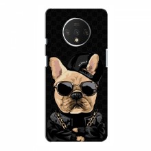 Чехлы с крутыми принтами для OnePlus 7T - (PREMIUMPrint) Стильная собака - купить на Floy.com.ua