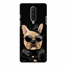 Чехлы с крутыми принтами для OnePlus 8 - (PREMIUMPrint) Стильная собака - купить на Floy.com.ua